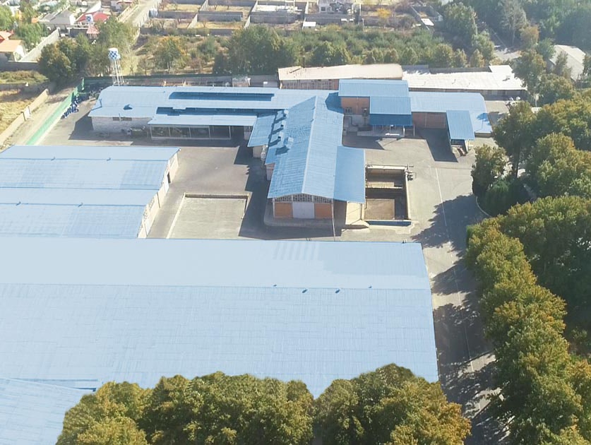 صنایع غذایی چاشنی | کشت و صنعت ماریان