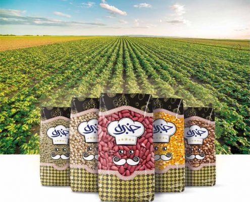 کشت و صنعت خبره