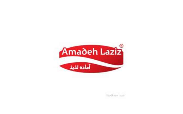 تولیدکننده نودل آماده لذیذ